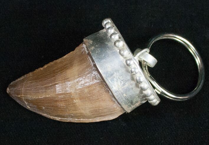 Authentic Fossil Mosasaurus Tooth Keychain #11140